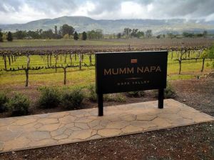 1526402_10151992045545913_2104970232_n