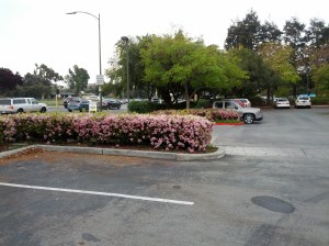 When we left our hotel in the morning, we saw this.